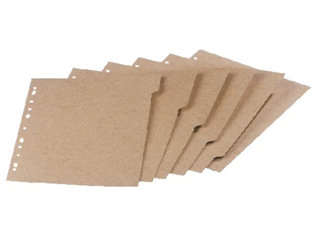 Intercalaires Oxford Touareg 11 perf 6 onglets carton naturel