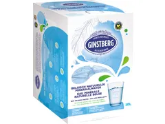 Ginstberg Plat Water Bag in Box 10 Liter