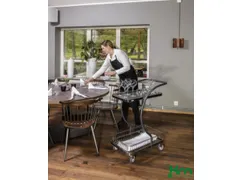 etagewagen,draagverm. 120kg,2etage(s),laadvl. LxB 595x360mm,grijs