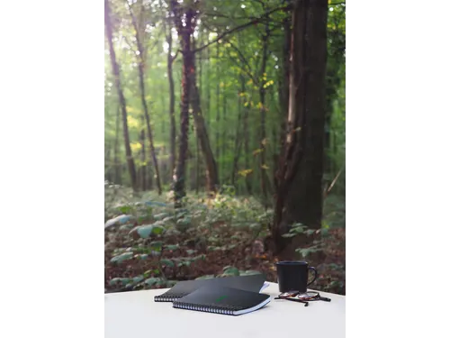 Notitieboek Rhodia Greenbook A4+ lijn 4-gaats 180 pagina's 90gr zwart