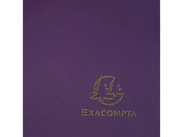 Elastomap A4 3 Kleppen Polypropyleen 4/10de Ondoorschijnend Fuchsia