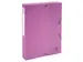 Klasseerdoos rug 40m m PP Forever Young