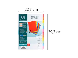 Tabblad glanskarton 400g 12-delig A4 Assorti - 4