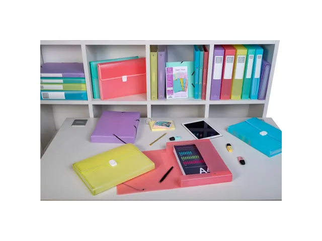 Boite de classement Exabox Dos 25mm Polypropylène 7/10e Chromaline pa