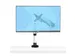 Monitor Arm voor Bureau 27 Inch 16:9 of 30 Inch 21:9 Ultrawide Scherme