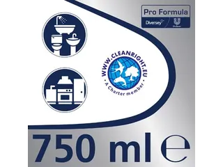 Pro Formula voegenreiniger gel 750ml - 3