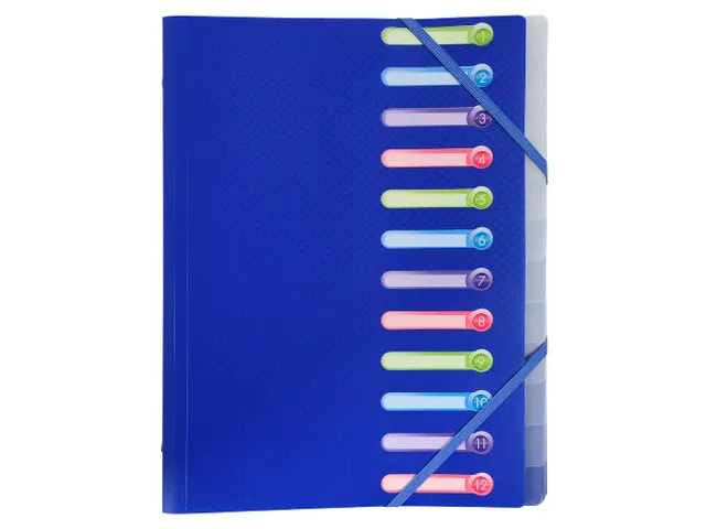 Sorteermap PP venste rs 12 vak geass.