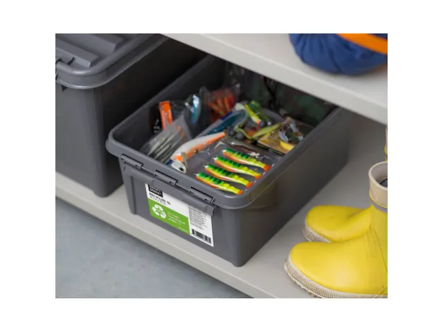 SmartStore Recycled 65 Opbergbox 61 Liter Orthex