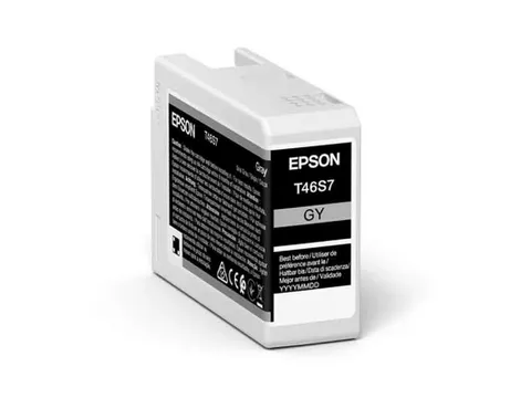 Epson Origineel Inktcartridge UltraChrome Pro 10 C13T46S700 Grijs