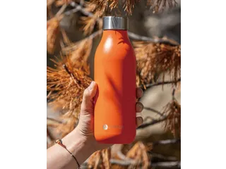 Thermosfles 2.0 Les Artistes Paris 500ml Spice - 4