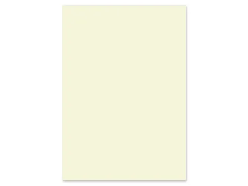 Papier Kangaro A4 160grs ivoorwit pak 250 vel