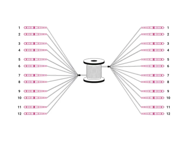 Universele breakout glasvezelkabel multimode OM4 100m 12 vezels LC/UPC