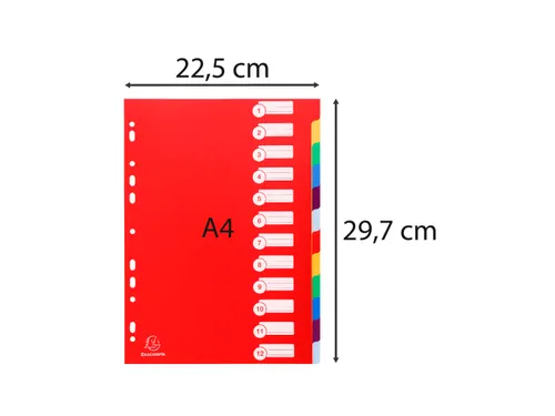 Tabbladen A4 Ondoorzichtig PP 0.30mm 12-Delig 11-Gaats Assorti
