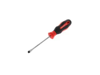 R38105519 2C schroevendraaier sleuf 5,5mm 1x100mm - 1