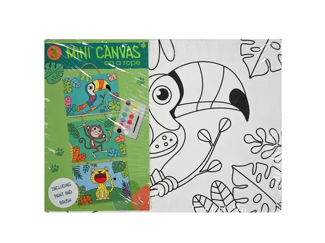 Canvasset om in te kleuren assorti 'Mini canvas on a rope'
