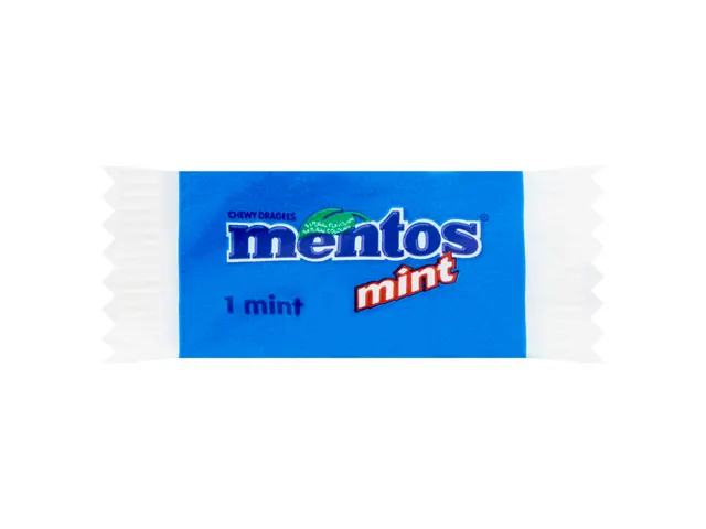 Snoep Mentos meeting mint 700 stuks
