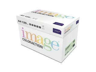 Kopieerpapier Forest Middelgroen A4 120 Gram 250 Vel - 5