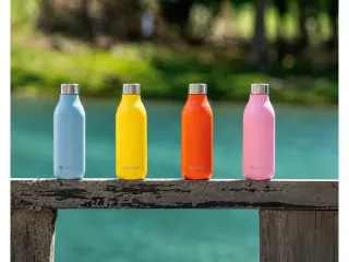 Thermosfles 2.0 Les Artistes Paris 500ml Rio - 12