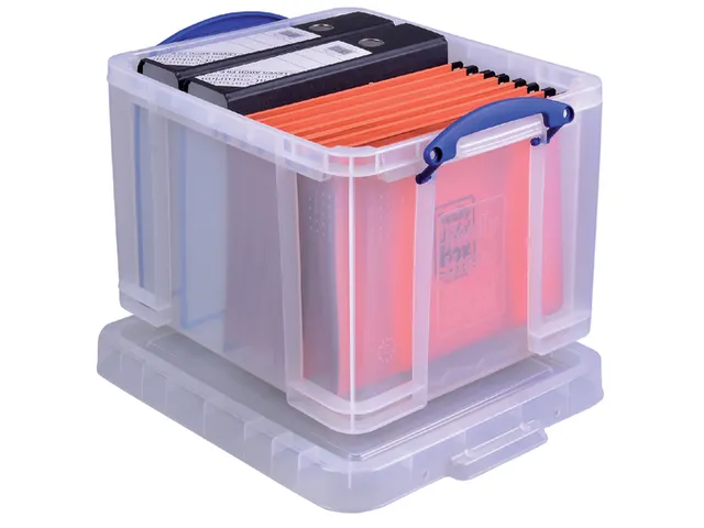 Opbergdoos 35 Liter Transparant