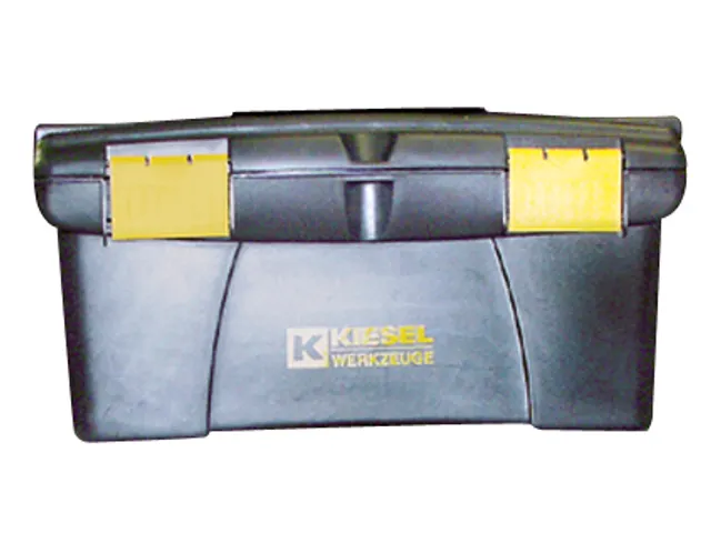 Gereedschapskist Kunststof 200x410x220mm Inzetbak Voor Onderdelen