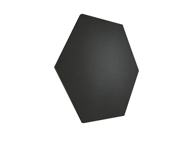 Panneau affichage héxagone Noir Ø 60cm