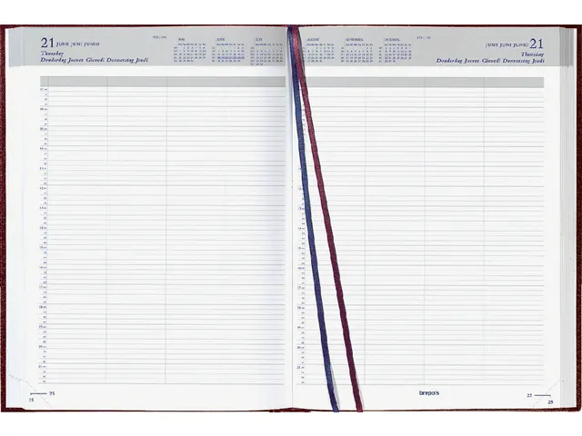Agenda 2027 Brepols Bremax Santex A4 1dag/2pag 8 kolommen bordeaux
