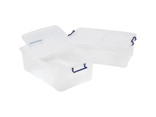Opbergbox Plastic Transparant 50 Liter met Gedeelde Deksel