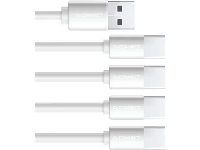 Q-CONNECT USB-C herlaadbare batterijen AAA, blister van 4 stuks