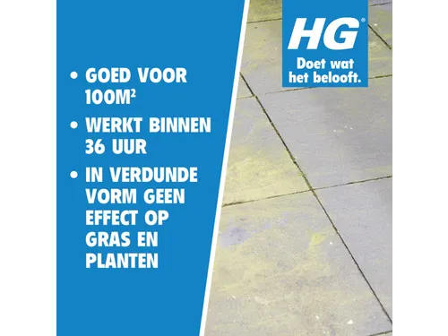 Groene aanslagreiniger HG concentraat 1 Liter NL 9374N