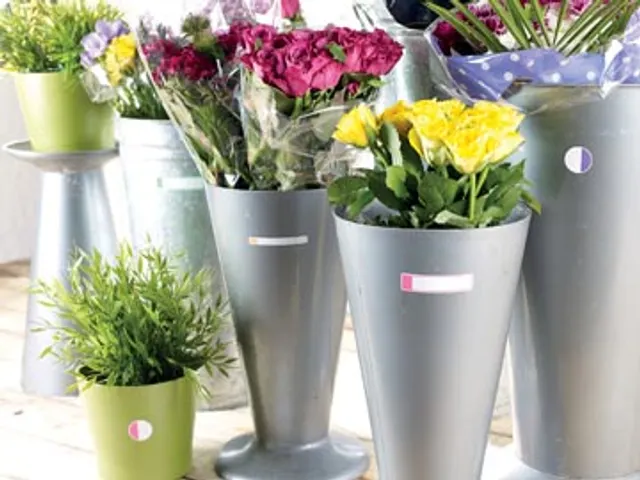 Lamineer Etiket Fluo Assorti 24 stuks