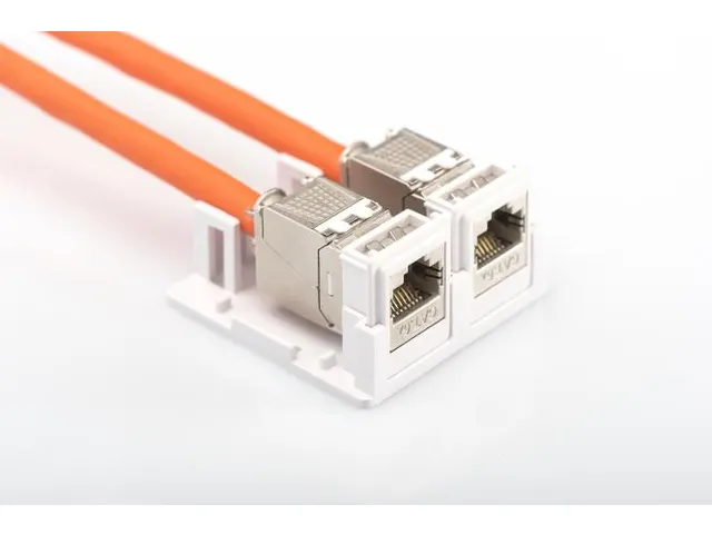 Consolidatiepuntbehuizing voor 2x Keystone modules Wit 2-Poorts