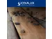 Quicksnap Rattenval, Promopack 2+1 Stuks