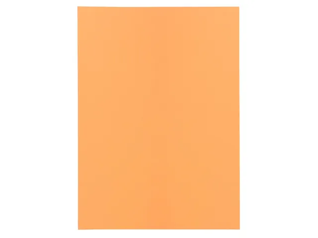 100 inlegmappen SUPER 60 22x31cm Geassorteerd