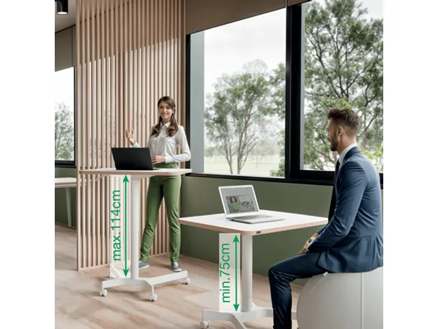 Leitz Ergo Zit-Sta bureau Mobiel 80x60cm klein