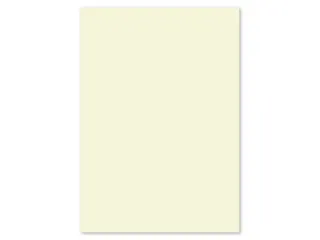 Papier Kangaro A4 160grs ivoorwit pak 250 vel - 3