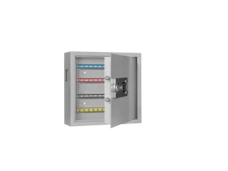 sleutelkast,80haak,HxBxD 430x460x130mm,romp RAL7035,front RAL7035 - 3