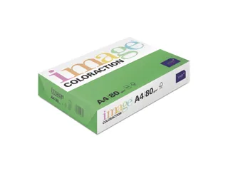 Kopieerpapier Dublin Donkergroen A4 80 Gram 500 Vel - 1