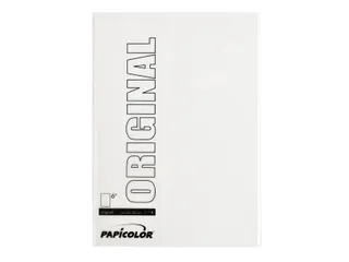 Kopieerpapier Papicolor A4 100gr 12 vel wit - 2