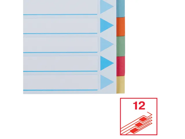Tabbladen Esselte Premium A4 12-delig karton 23-rings assorti