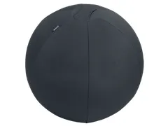 Leitz Ergo Actieve Zitbal anti-rol 55cm Donkergrijs