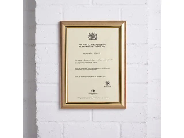 Fotolijst Seco A4 goud plexiglas