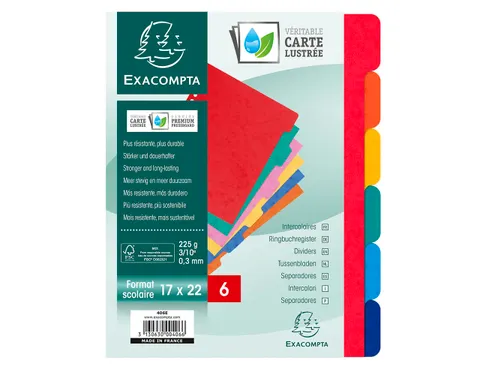 Tabbladen glanskarton 225g 6-delig schoolformaat 17x22cm Assorti