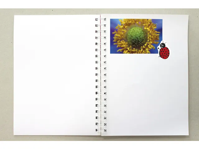 Plakboek Kangaro A4+ 120 grams 40 vel, voorkant zwart