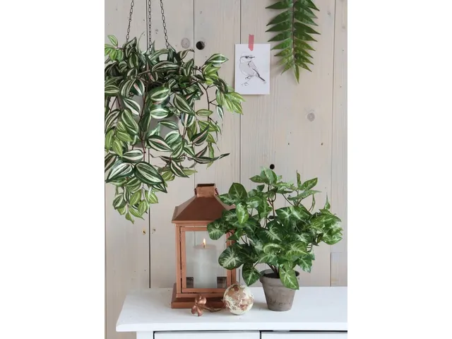 Kunstplant Mica Syngonium groen in pot 35x25cm