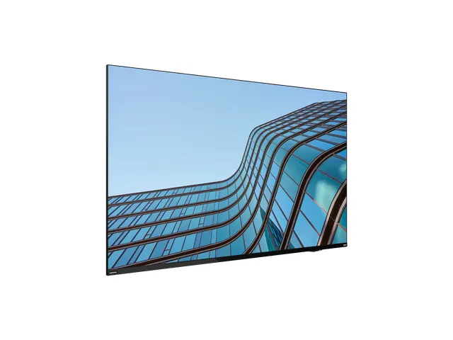 Ecran plat 54,6 inch Lenovo ThinkVision E55 LFD IPS noir