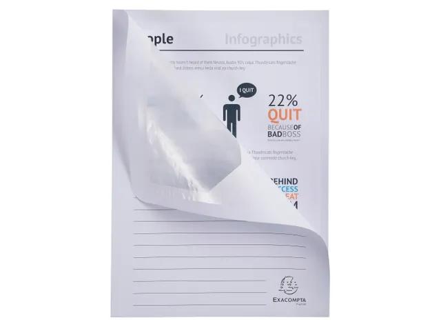 50 Venstermappen Forever 22x31cm Assorti