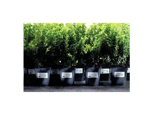 Weerbestendige etiketten Avery 63.5x33.9mm Polyester wit 480 stuks