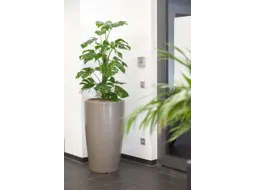 plantenzuil,rond,PE,beigegrijs,HxØ 1100x620mm,80l