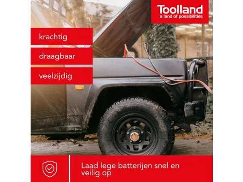 Lader Voor 12/24 V Lood-Zuurbatterijen - Met Boostfunctie - 20 A