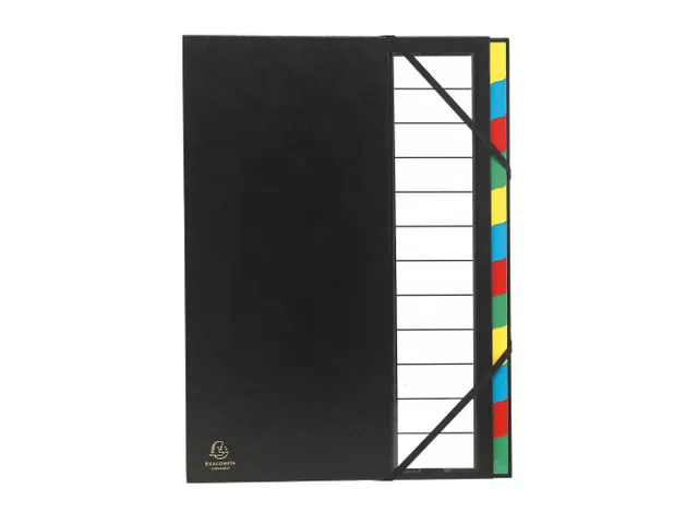 Trieur rigide Ordonator dos extensible 12 compartiments - Couleurs ass